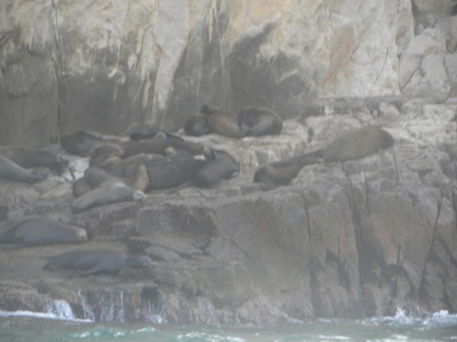 Los Cabos  Allure e Miami 065