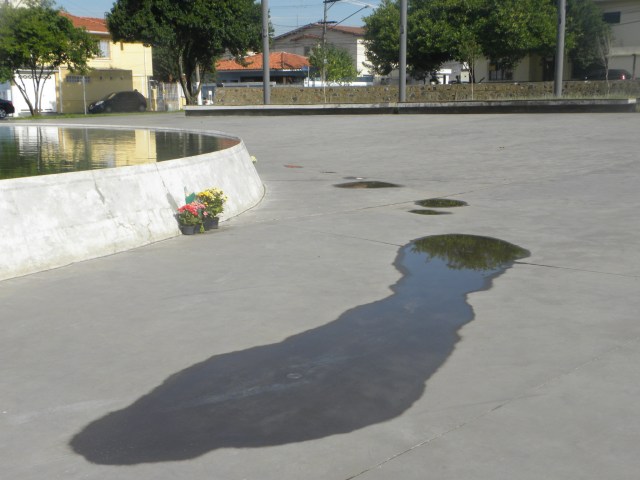 Fotos 16 02 2013 013