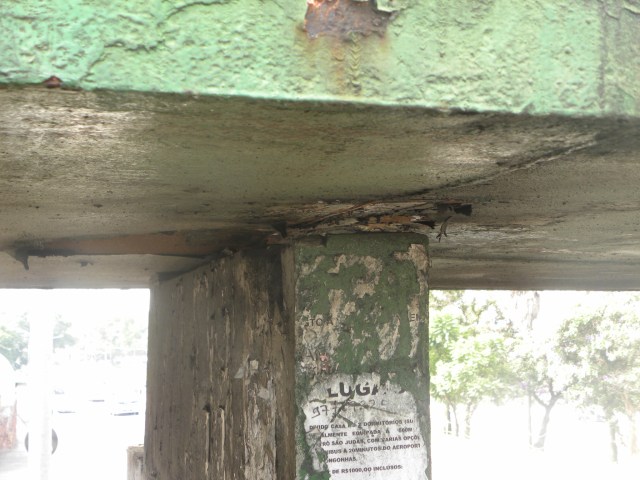 Fotos 16 02 2013 035