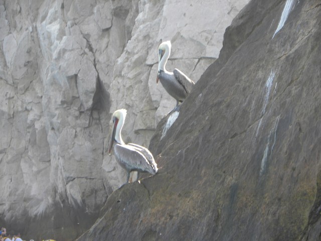 Los Cabos  Allure e Miami 050