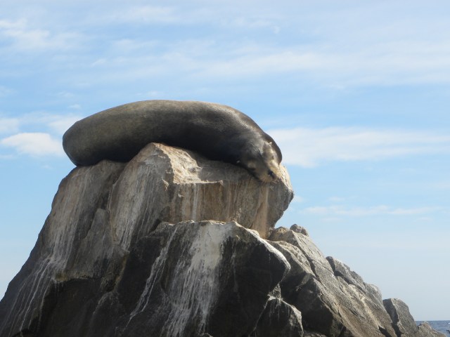 Los Cabos  Allure e Miami 079