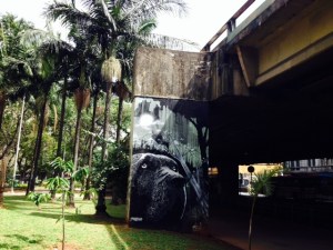 Pca Floriano Peixoto 1