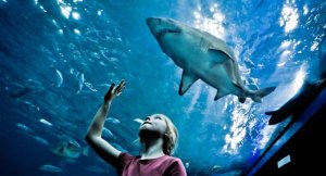 tumblr_inline_npb93kq93P1t0p7pa_540