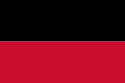 125px-flag_of_nijmegen-svg