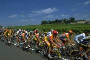 size_960_16_9_bordeaux1