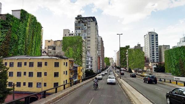 Jardim-vertical-no-minhocao-movimento-90